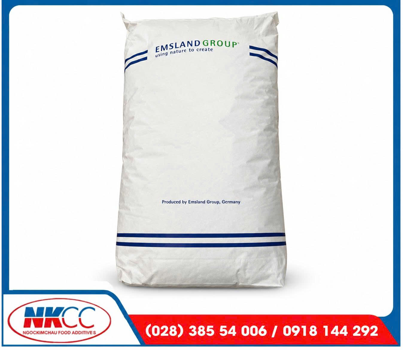 Tinh bột khoai tây biến tính Emfix K02 (Pregel E1450)
